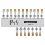 Vintage PRO Opaque Dentin