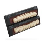 SR Orthotyp S DCL 1