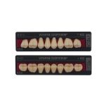 VITAPAN 3D-MASTER Seitenzähne