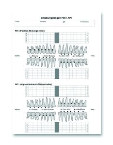 Erhebungsbogen PBI/API 1