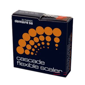 Flexible Scaler