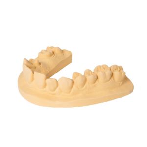esthetic-base® gold quick