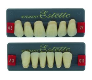 WIEDENT Estetic Frontzähne
