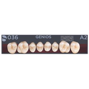 Genios Seitenzähne