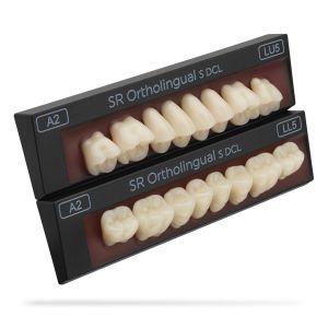 SR Ortholingual S DCL 1