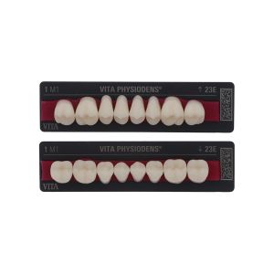 PHYSIODENS 3D-MASTER Seitenzähne