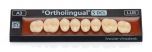 SR Ortholingual S DCL 1
