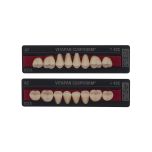 VITAPAN classical Seitenzähne