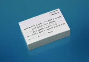 01-Befund für Systemkartei DIN A5