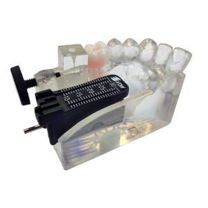 Endo Training Model Castillo