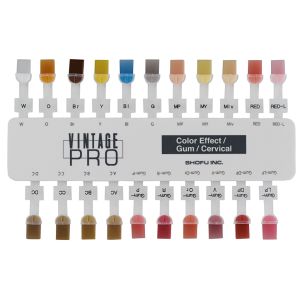 Vintage PRO Cervical