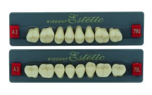 WIEDENT Estetic Seitenzähne