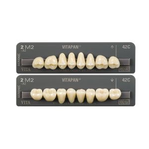 PHYSIODENS 3D-MASTER Seitenzähne