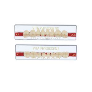 PHYSIODENS classical Seitenzähne
